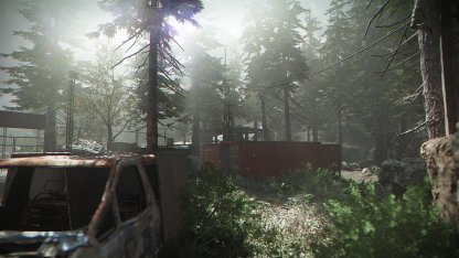 Pine