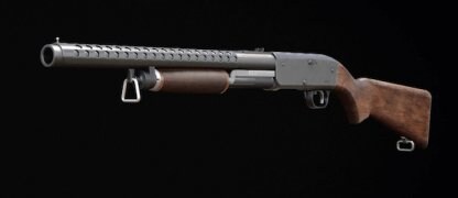 Hauer 77