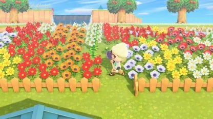 flowers