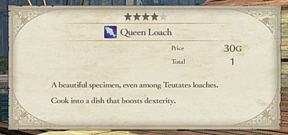 Catch Big Fish During Lots Of Large Fish