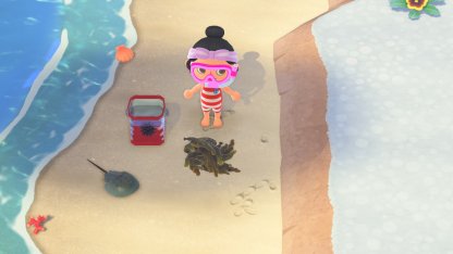 sea creature display