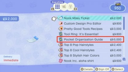 Pocket Organization