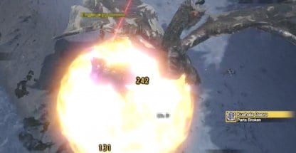 Magnamalo versus Kushala Daora