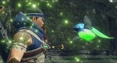 Use Spiribirds During Hunts