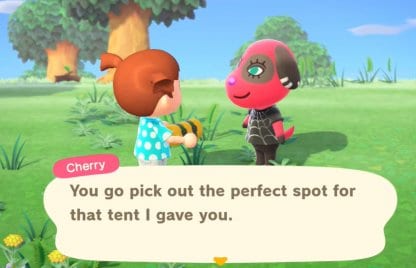 Can Also Place Villager
