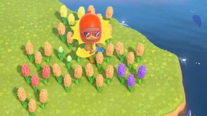 Plant Orange Together To Get Purple Hyacinth