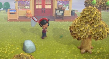 Walk Slowly To Creep Near Bug