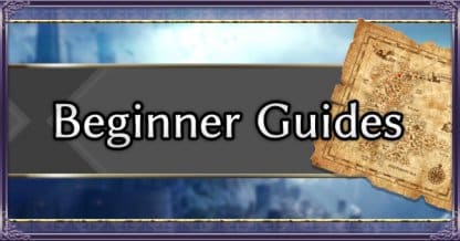 Beginner Guides