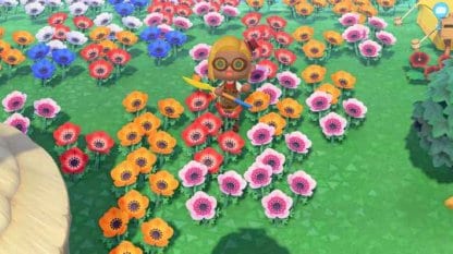 Plant Seeds In a Pattern