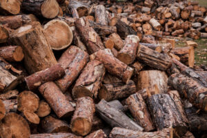 Drewno do wędzarni – co warto wiedzieć? Wybór, przygotowanie i używanie drewna w procesie wędzenia