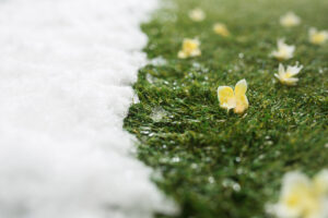 Jak skutecznie przygotować trawnik do zimy? Spójrz na nasze wskazówki