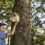 Karmnik dla ptaków – jak bezpiecznie przymocować go do drzewa? Oto kilka prostych sposobów