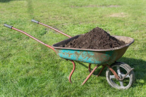 Jak zrobić dobry kompost z trawy? Praktyczny poradnik dla ogrodników