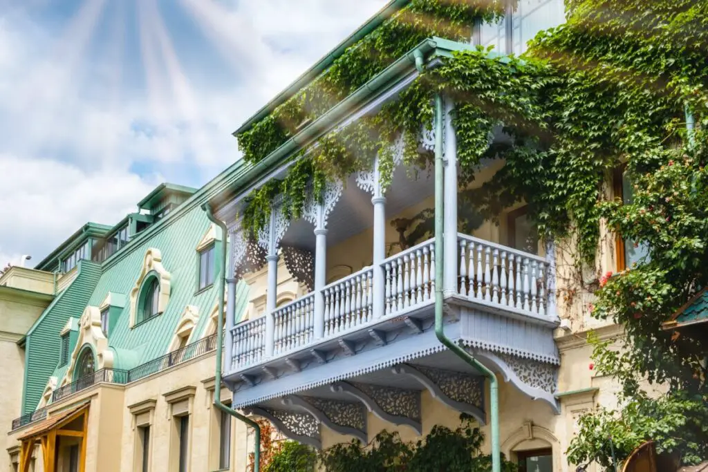 Bluszcz na balkonie – idealna zieleń przez cały rok