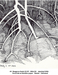 Mangrove Study (2) N.T. 180x130