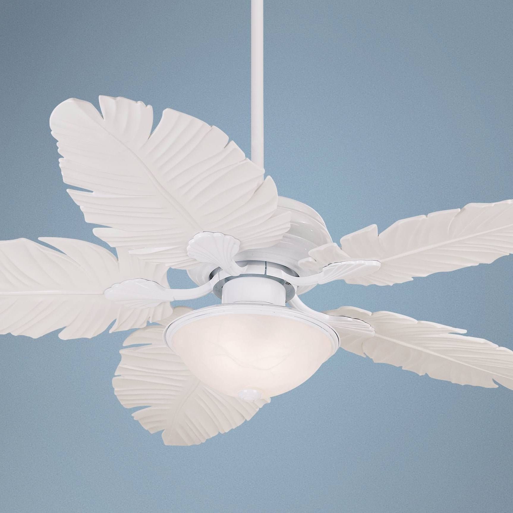 Featured Photo of Casa Vieja Outdoor Ceiling Fans