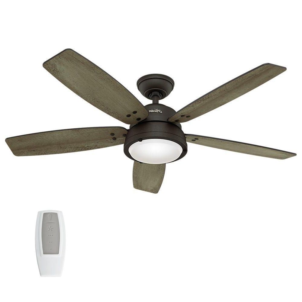 Featured Photo of Hunter Indoor Outdoor Ceiling Fans with Lights