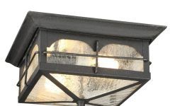 Outdoor Ceiling Lights at Home Depot