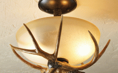 Outdoor Themed Ceiling Lights