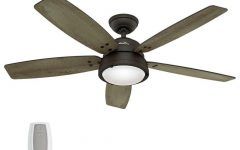 Outdoor Ceiling Fans with Remote