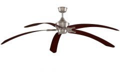 Outdoor Ceiling Fans for Windy Areas