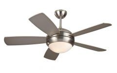 Outdoor Ceiling Fans with Motion Light