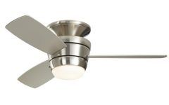 24 Inch Outdoor Ceiling Fans with Light