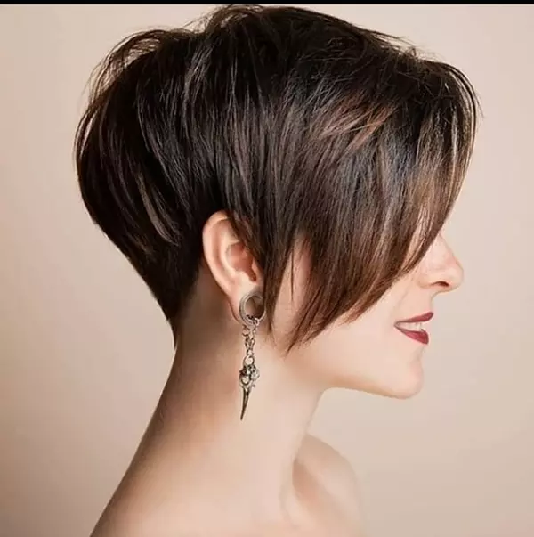 Layered-Haircut 28 Best Short Hairstyles and Haircuts 