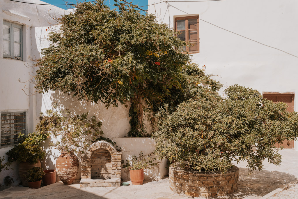 bougainvillea growing in a Naxos Chora courtyard