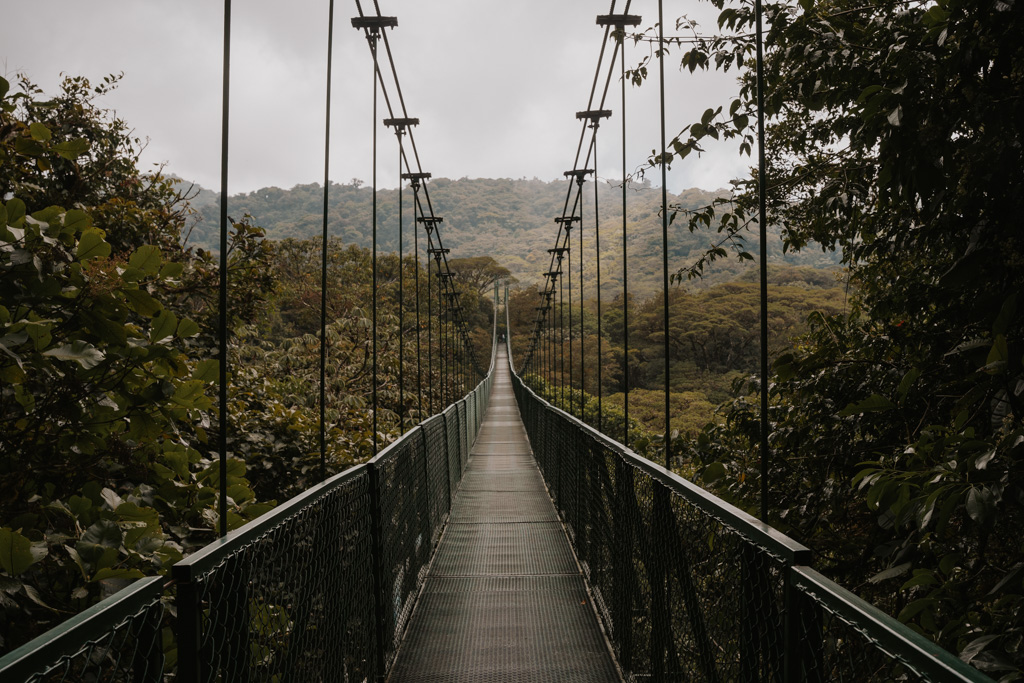 long Costa Rica suspension bridges in Monteverde Cloud Forest at Selvatura Adventure Park