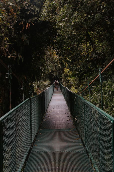 perspective of green hanging bridges Monteverde