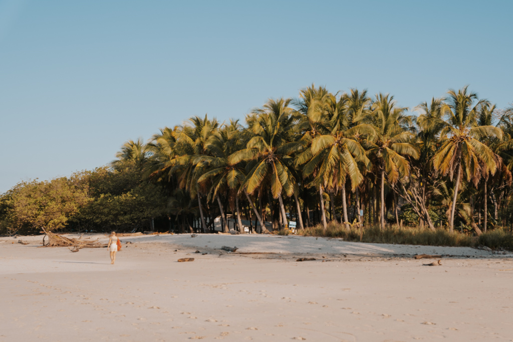 white beach and palm trees of Santa Teresa a great day trip from Montezuma
