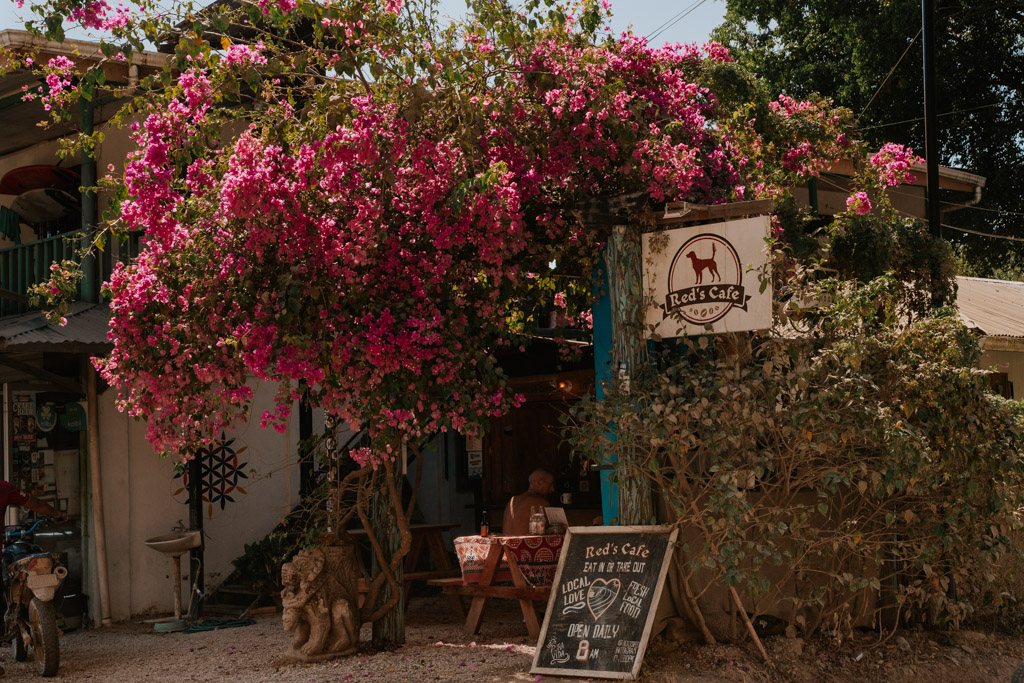exterior with pink flowers at best Santa Teresa restaurants in Playa Hermosa