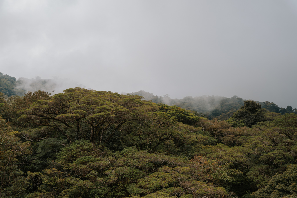 green rainforest canopy with misty clouds reached along the San Jose Costa Rica to Monteverde road