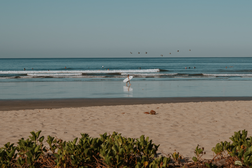 Best Hotels in Nosara Costa Rica: Where to Stay in Nosara Beach