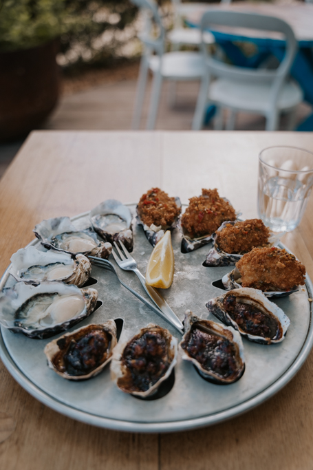 eat oysters on a bruny island tour