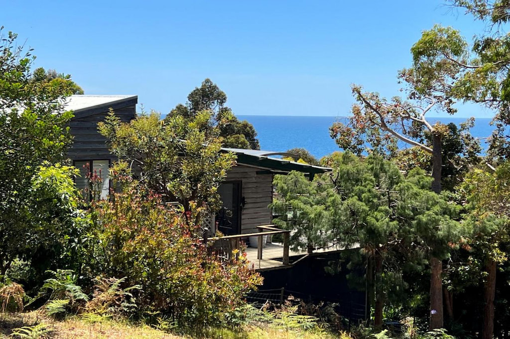 wood shack with forest surroundings overlooking Bay of Fires and Binalong Bay