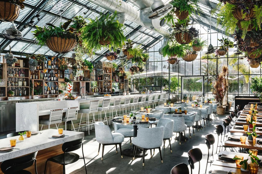 large atrium style dining hall with modern furnishings and several hanging baskets of greenery hanging from the ceiling