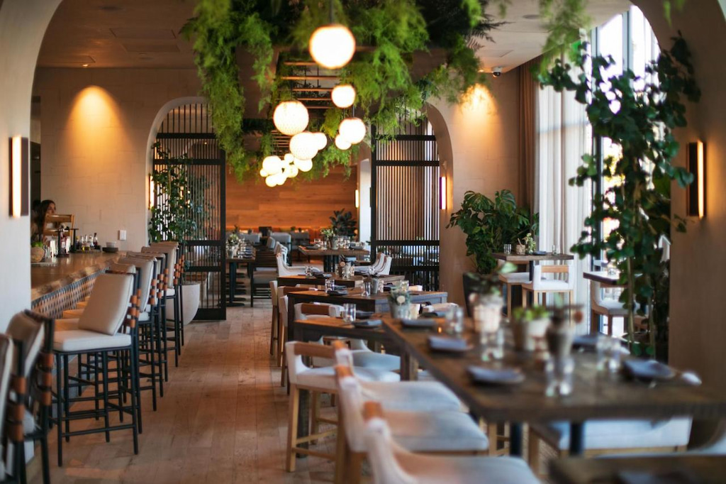 Sophisticated and elegant restaurant with green plants