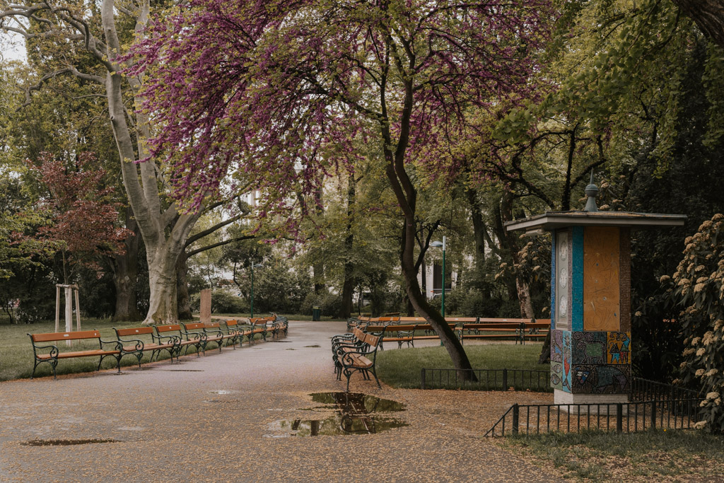 greenery lined park with benches in Rathausplatz Vienna