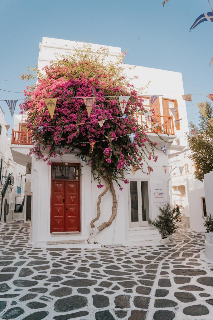A white small building in Mykonos covered with pink flowers 