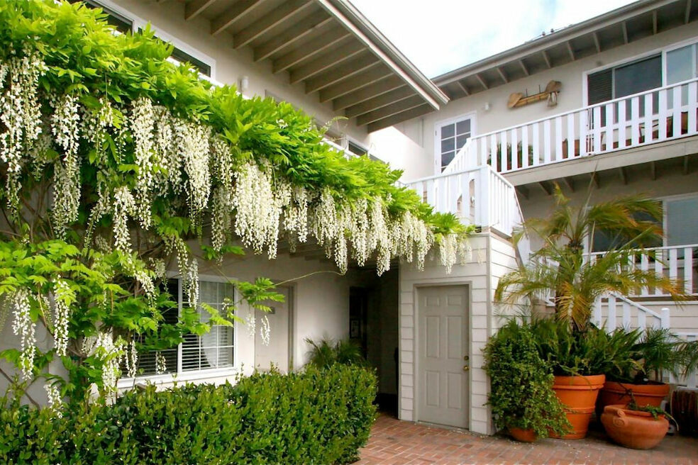 The Tides building covered with bush and white flowers