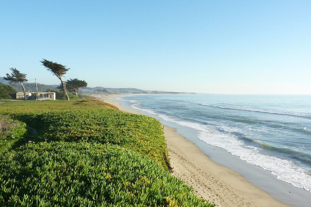 A beach with white sand shore near a wide space covered with grass near a beach house surrounded by tall trees under a clear sky.
