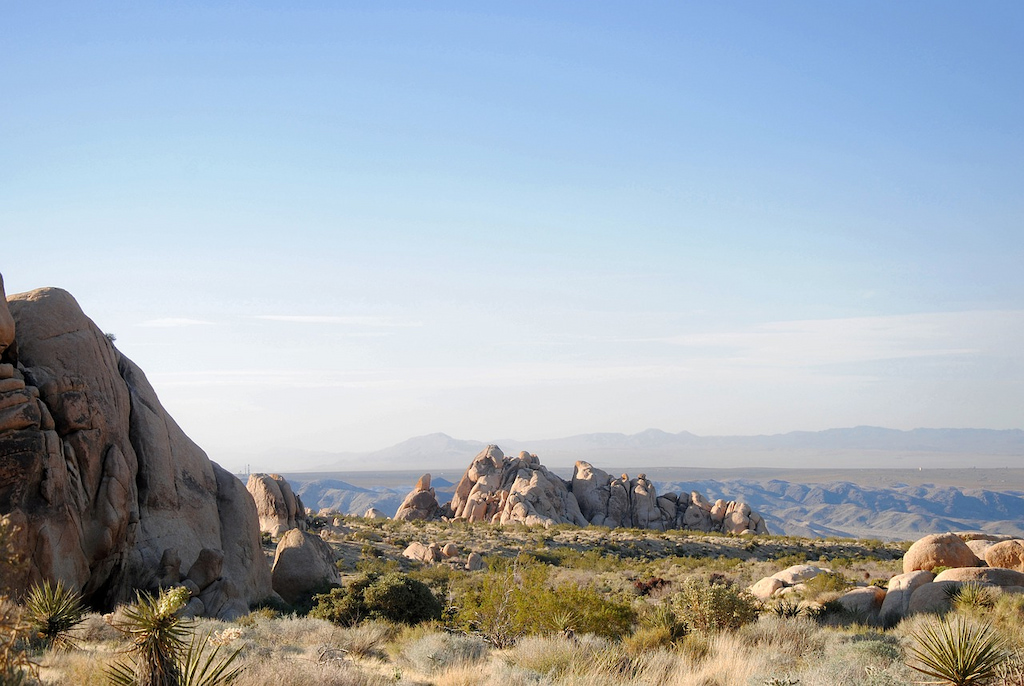 Best boutique hotels in Joshua Tree are in close proximity to Joshua Tree National Park