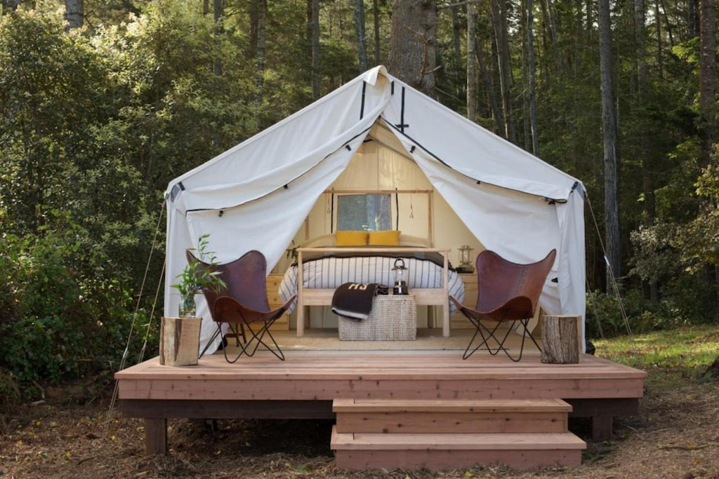 View of the luxury private tent with modern furniture surrounded by tall trees