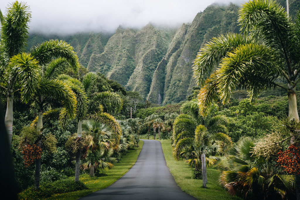 261 Best Hawaii Captions for Instagram & Hawaii Quotes