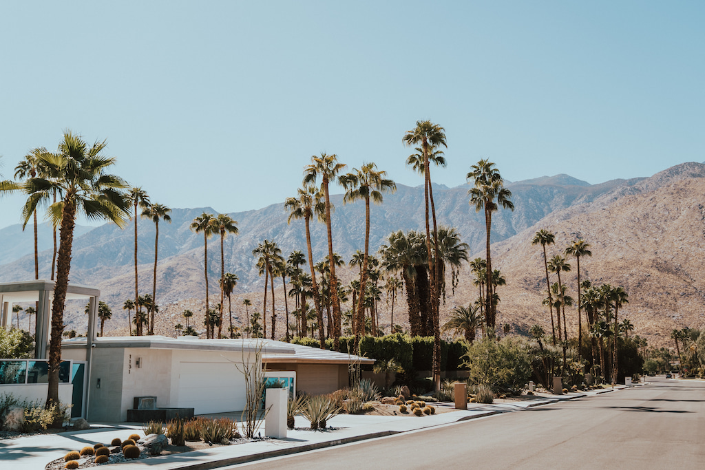 Palm Springs Quotes and Palm Springs captions for Instagram