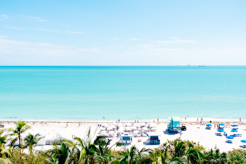 white sand beach and palm trees with bright blue ocean in Miami Florida