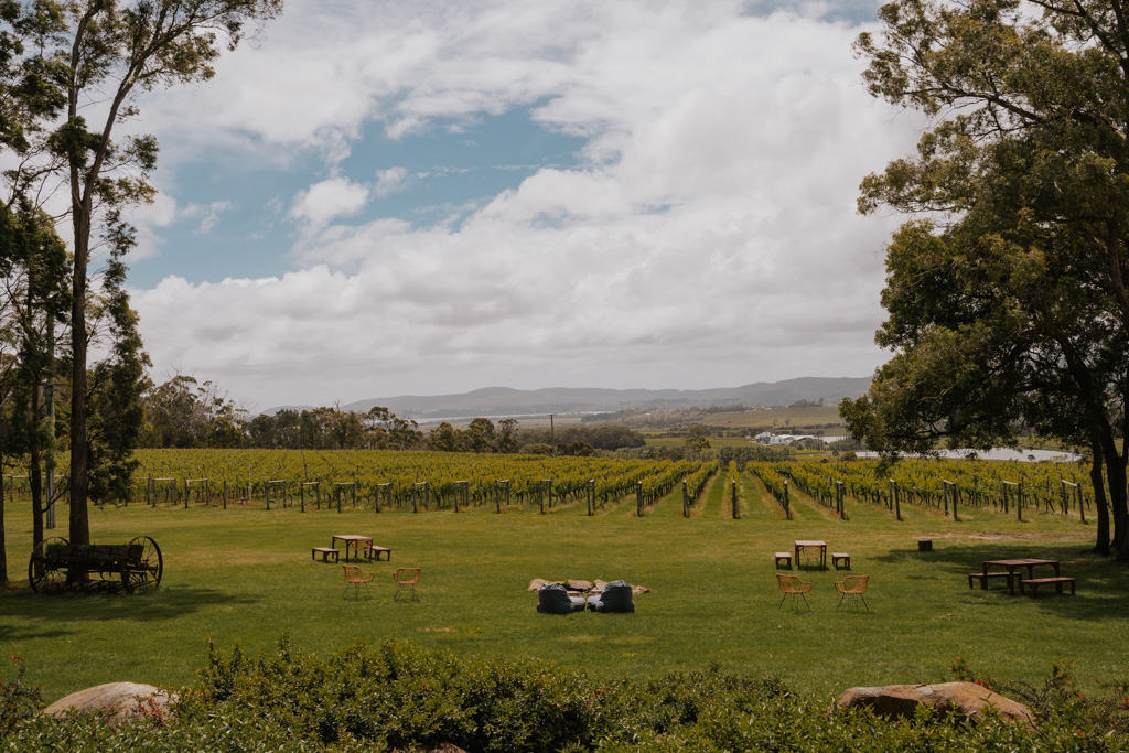 east coast Tasmania road trip stop at a Tamar Valley winery with groups of chairs laid out of a green lawn with vineyards sprawling in the background