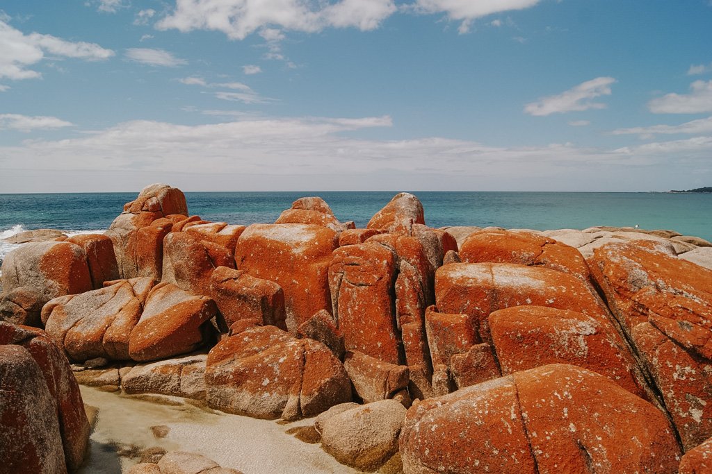 large boulders covered in bright orange lichen with ocean beyond at Bay of Fires Tasmania